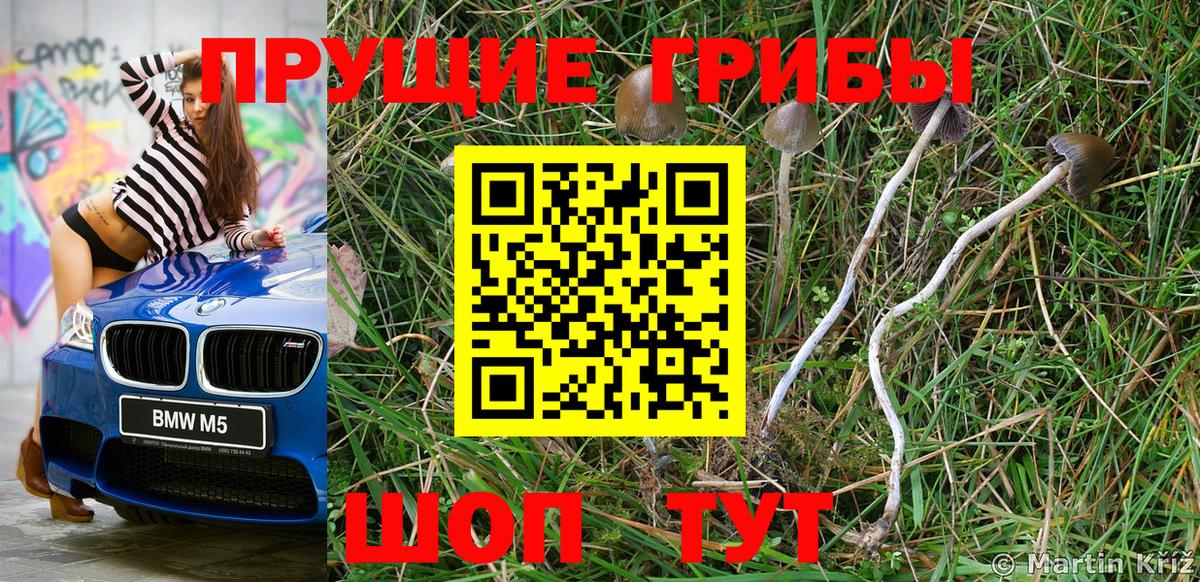 где можно купить наркотик  Вход с VPN  Орёл  Галлюциногенные грибы мухоморы  Галлюциногенные грибы мицелий 